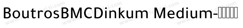 BoutrosBMCDinkum Medium字体转换